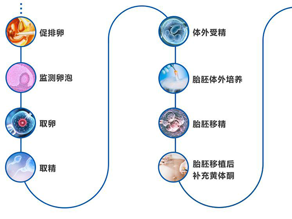 一代试管婴儿全流程