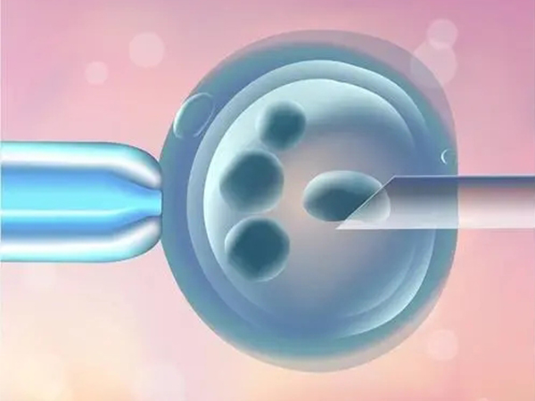 优质胚胎和普通胚胎有什么区别？如何提高试管移植成功率插图