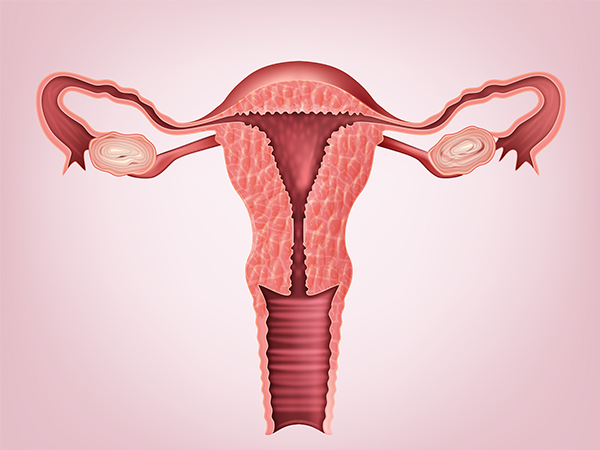 自然周期中常见的难点是子宫内膜厚度不够
