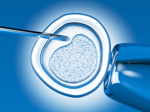 胚胎移植第十七天发育还不稳定