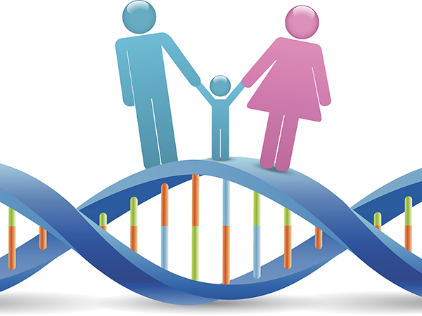 无创DNA检查的主要内容是针对三种染色体异常疾病