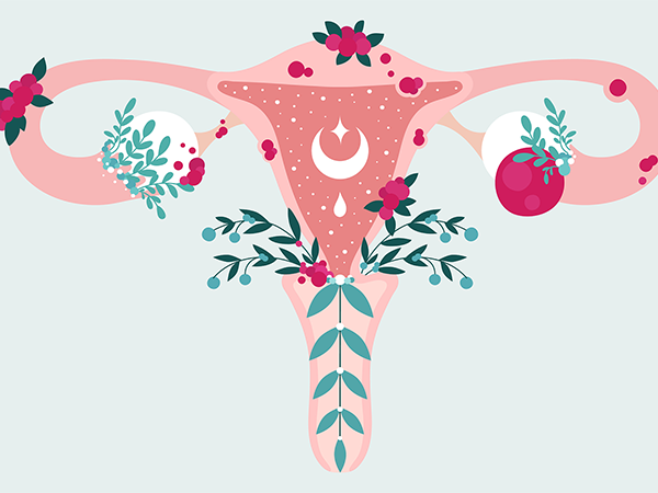 冻融胚胎移植需要准备子宫内膜