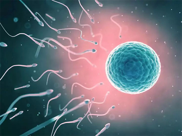 卵泡萎缩可以做试管助孕