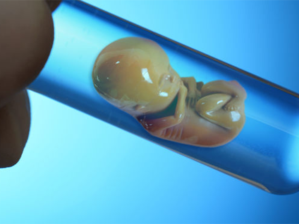 胚胎移植后术后护理很重要