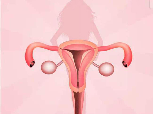 多数卵巢疾病会引起fsh降低