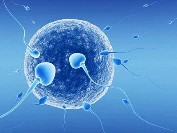 尿频是胚胎着床以后的一种表现