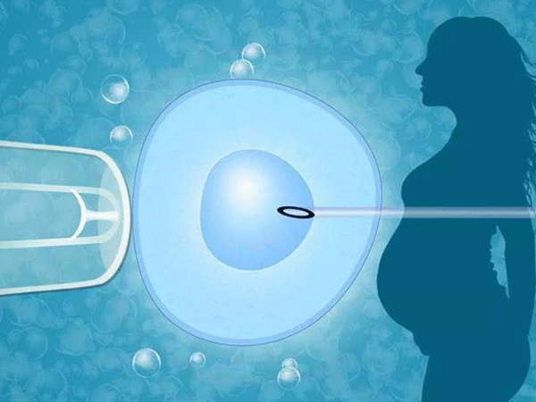 检测卵泡是试管婴儿移植的一个步骤