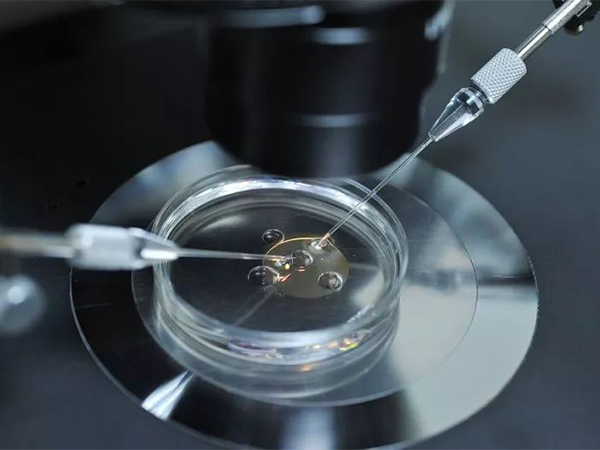 二代试管风险是胚胎可能存在缺陷