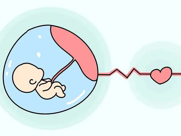 胚胎停止发育的时候内裤上会见红