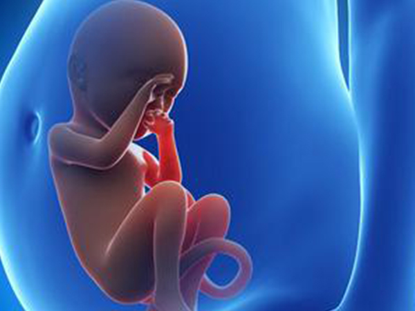 试管移植是直降将胚胎移植进子宫的