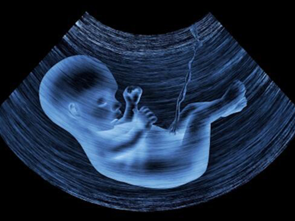 孕早期B超检查时可以在宫腔里发现孕囊