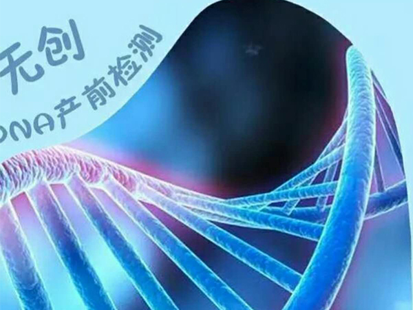 无创DNA是产检项目之一