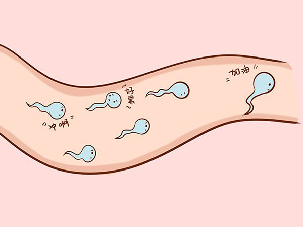 取精是孕前检查的首要步骤