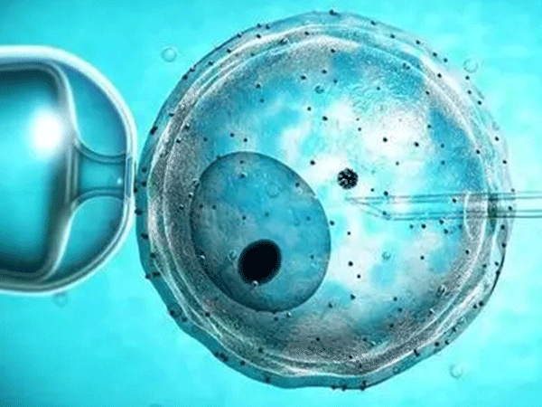 微刺激方案流程使卵子质量更好