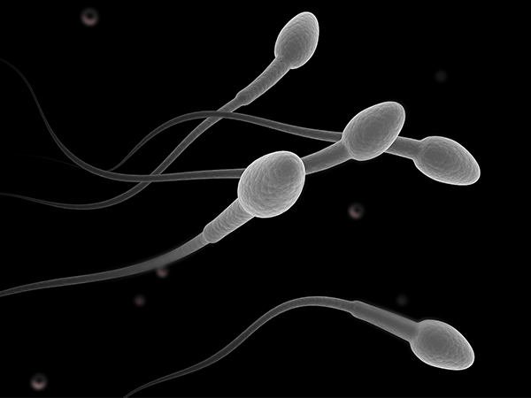 男性使用画面感可以促进精子成熟