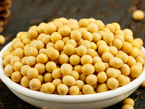 黄豆是天然的促排卵食物