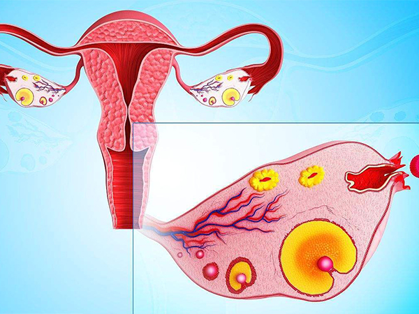 卵巢功能不好用黄体期促排方案