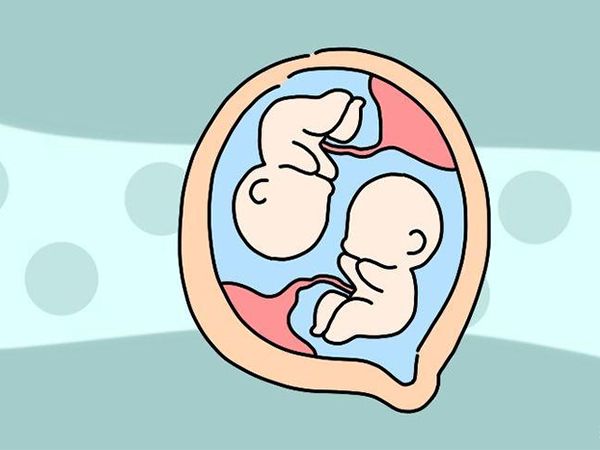 鲜胚移植有机会怀上双胞胎