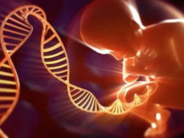 染色体异常胎儿会患上遗传性疾病