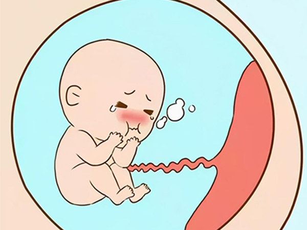 脐带绕颈会影响胎儿呼吸