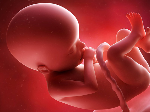 胎心监护可以判断胎儿状况
