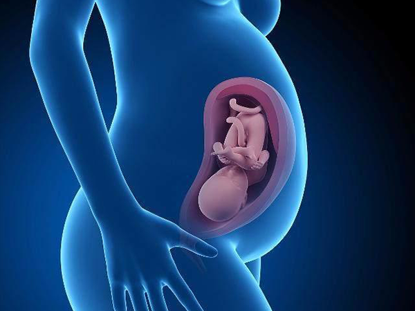 胎动频繁可能是胎儿窘迫的征兆