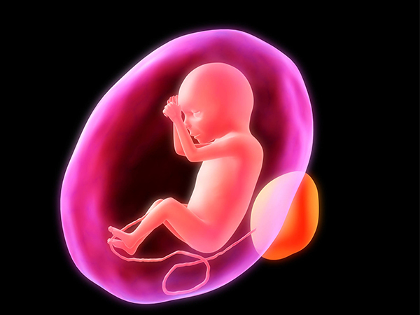 频繁胎动是脐带绕后的主要症状