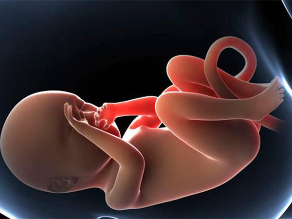 胎位影响分娩方式的选择