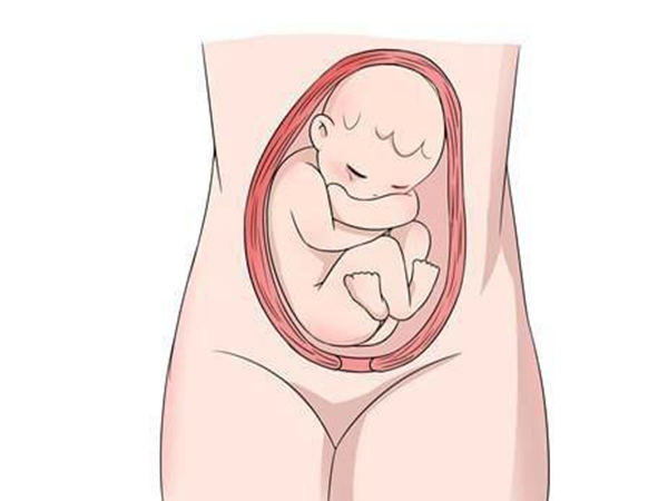 胎儿臀位胎心在肚脐以上