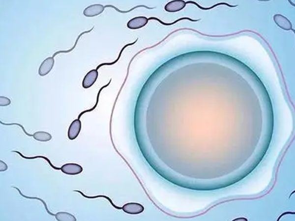 囊胚移植需要子宫内膜在1厘米以上