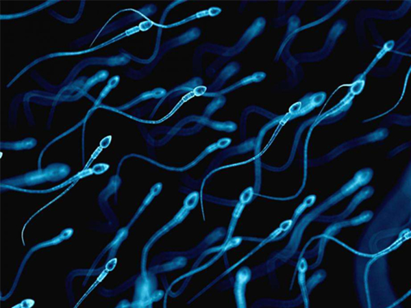 女性对精子过敏会引起不孕