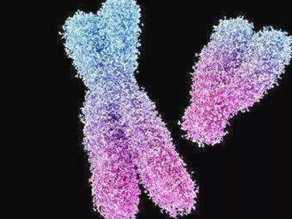 染色体缺失属于染色体异常的一种