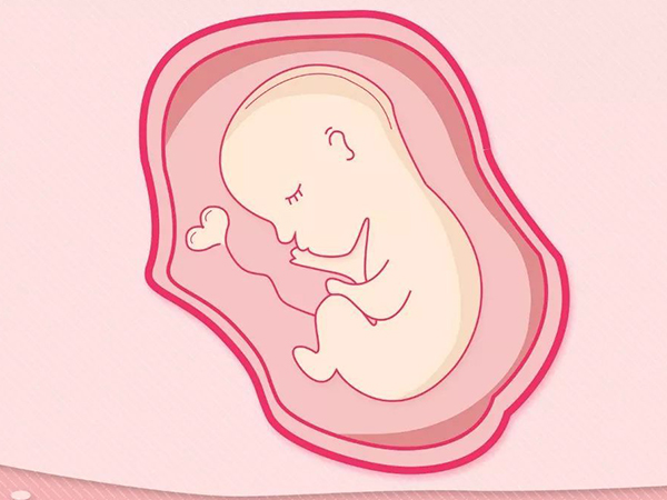 孕晚期羊水82mm可能影响胎儿发育