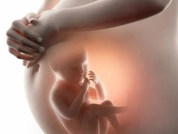 四维彩超数据能判断胎儿性别
