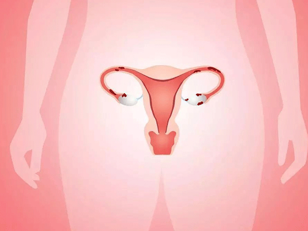 怀孕期间宫颈粘液栓的分泌量会增加