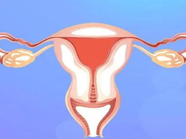 孕期发现阴道口有圆圆的膨出物