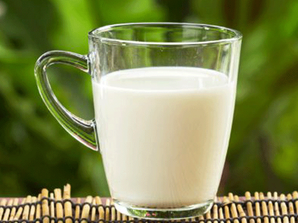 牛奶能提供蛋白质