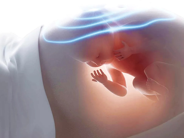 脐血流未见舒张期表示胎儿发育可能有问题