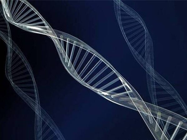 基因芯片能检测全部基因组