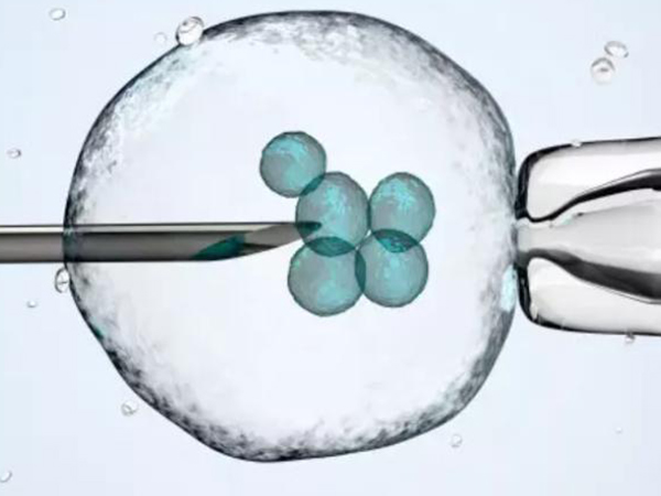 二代试管胚胎师不能观察到性别