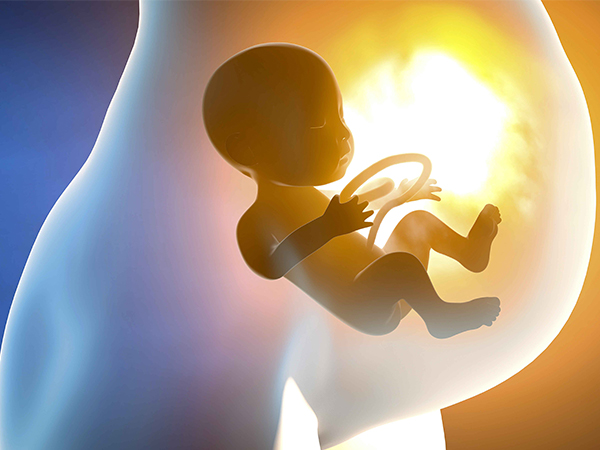 孕16周闻了残留杀虫剂的味道对胎儿有致畸风险吗?