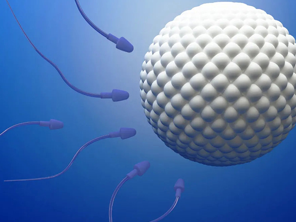 女方卵巢功能衰竭适合做三代试管