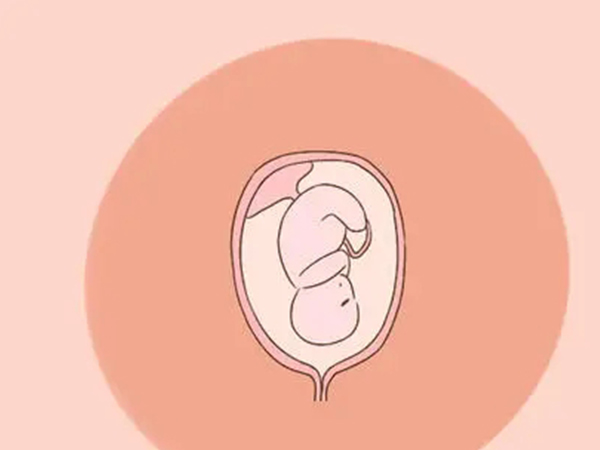 封闭抗体阴性会导致胚胎停育