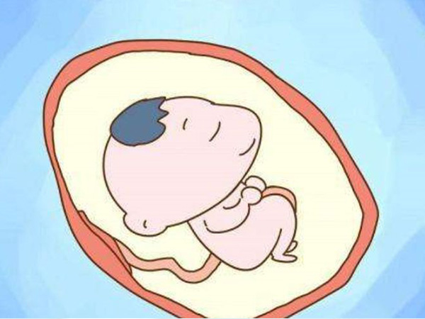 胎儿出现肠宽的现象很正常
