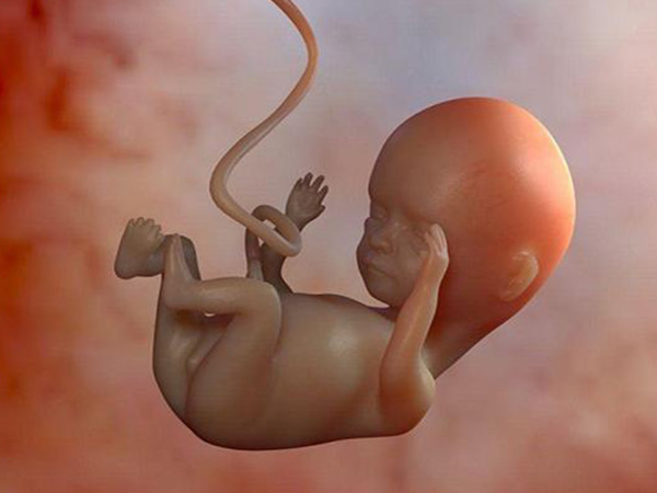 胎儿是否脐带绕颈和睡姿没关系