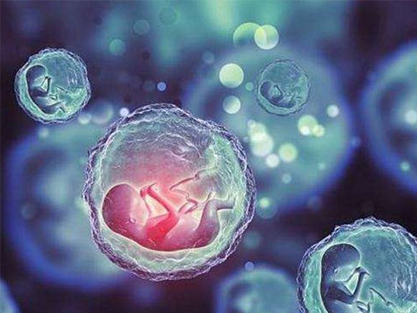试管是将合成的胚胎送入女性子宫