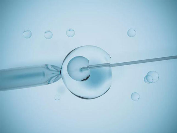 染色体异常患者建议做试管助孕