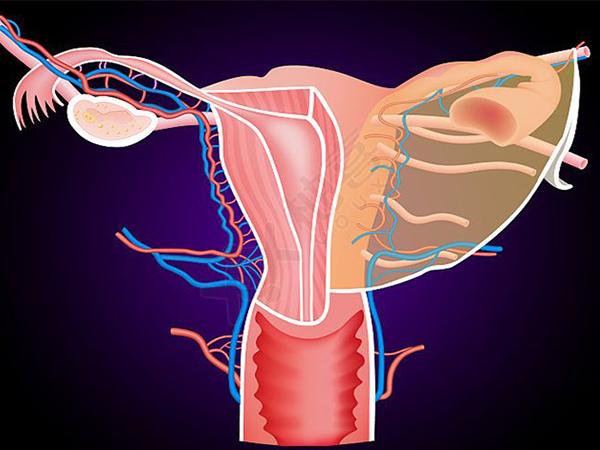 残角子宫是子宫发育畸形