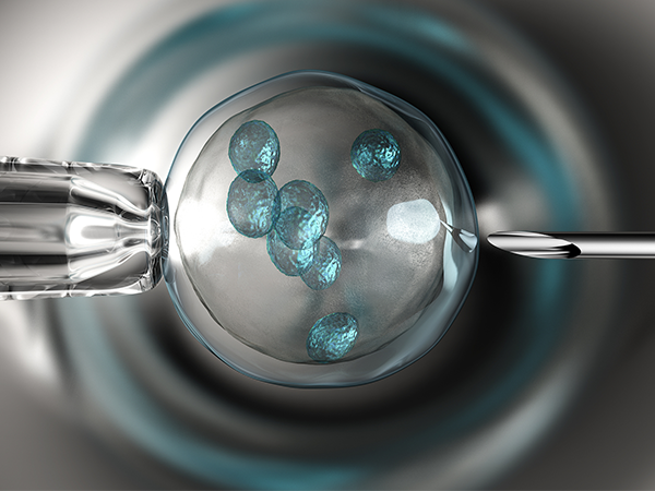 5ab囊胚可不一定能移植成功，先了解着床能力才是重点