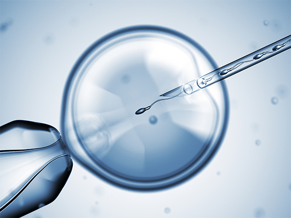 5ca囊胚具备可移植性